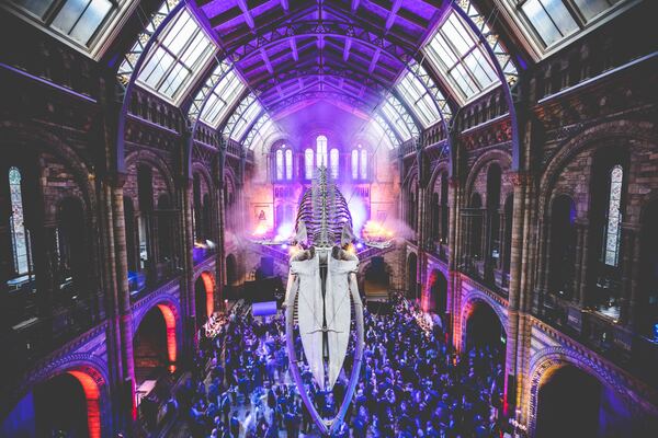 Corporate event photograph by Evagoras Mandrides, London